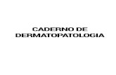 Caderno de dermatopatologia - aprimeiraedicao.com.braprimeiraedicao.com.br/wp-content/uploads/2018/04/Caderno-de-Derma... · Chefe do Departamento de Dermatologia e Radioterapia FMB-UNESP
