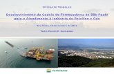 Desenvolvimento da Cadeia de Fornecedores de São Paulo para …energia.sp.gov.br/a2sitebox/arquivos/documentos/252.pdf · E&P RTC Gás,Energia & Gás Química Petroquímica ... ambiental