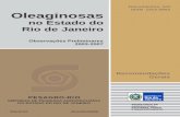 Documentos, 101 ISSN 1413-3903 Oleaginosas · Acredita-se que o girassol seja originário do Peru, mas sua domesticação ocorreu no México. No Brasil, o cultivo iniciou-se pela