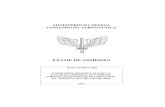 EXAME DE ADMISSÃO - Concursos Militares · Art. 1 ºAprovar as Instruções Específicas para o Exame de Admissão ao Curso de Formação de Oficiais de Infantaria da Aeronáutica