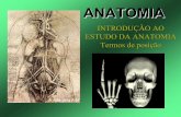 INTRODUÇÃO AO ESTUDO DA ANATOMIA Termos de posiçãoalunos.ciman.com.br/Blog/Arquivos/Aline Vilela Gomes/602B4479-0353... · estudo da anatomia termos de posição ... (neuroanatomia)