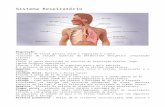 tecfarmapg.files.wordpress.com  · Web viewA entrada e saída de ar nos pulmões dependem da diferença entre a pressão atmosférica e a pressão intrapulmonar ... alvéolos e vasos