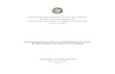 INESPECIFICIDADE E ANTROPOFAGIA NOS BABILAQUES …pantheon.ufrj.br/bitstream/11422/261/1/Monografia Maria Del-Vecchio... · Hélio Oiticica, que chegou a criar um conceito de “super-antropofagia”,