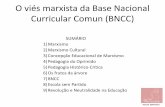 O viés marxista da Base Nacional Curricular Comun (BNCC) · aproximado e sempre existe um erro de medição”(BNCC ... desde cedo, de que nem tudo ocorre ou deixa ... salas de aula