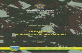MINISTÉRIO DA DEFESAbdex.eb.mil.br/jspui/bitstream/1/833/1/CI 32-1... · 2017-08-03 · ministÉrio da defesa exÉrcito brasileiro comando de operaÇÕes terrestres caderno de instrução