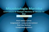 (responsável componente teórico) Prof. Helena Galvão Prof ...w3.ualg.pt/~hgalvao/micromarinha/MMTeor6.pdf · Parasitas intracelulares obrigatórios que só se reproduzem dentro