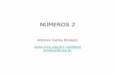 Henrique Guzzo Júnior - IME-USPbrolezzi/disciplinas/20162/mat0341/numeros2.pdf · o sistema de numeração hindu é decimal (o egípcio, o romano e o chinês também o eram); o sistema