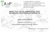 Instituto de Química Universidade Federal do Rio de Janeiroa3p.jbrj.gov.br/pdf/Impactos_socioambientais.pdf · Portadores de doenças pré-existentes ... cromo hexavalente e retardantes