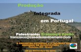 Produção Integrada em Portugal - Secretaria da ... · Introdução à Protecção das Plantas Fases da protecção de plantas em Portugal: ... => utilização de enxofre em ...
