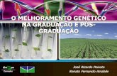 O MELHORAMENTO GENÉTICO NA GRADUAÇÃO E PÓS- … · Genética na Agropecuária ... Anatomia e Morfologia de Plantas Experimentação Agrícola ENSINO-PESQUISA Métodos de Experimentação