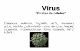 Vírus - monteirolobatomaceio.com.br · verificado que os vírus eram diferentes de bactérias e ... NÃO SÃO SERES VIVOS Fora do hospedeiro não manifestam atividades vitais (metabolismo,