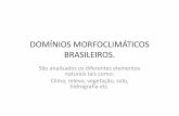 DOMÍNIOS MORFOCLIMÁTICOS BRASILEIROS.colegiomichel.com.br/.../03/DOMÍNIOS-MORFOCLIMÁTICOS-BRASILEIROS.pdf · DOMÍNIOS MORFOCLIMÁTICOS BRASILEIROS. São analisados os diferentes