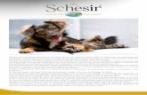 A IMPORTÂNCIA DO ALIMENTO ÚMIDO NA DIETA DO GATO.¡logo-Schesir-Bioctal.pdf · suporte a iniciativas e associações que têm como objetivo a proteção de cães e gatos. ... Considerando