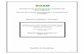 INSTITUTO DE INVESTIGAÇÃO AGRÁRIA DE MOÇAMBIQUE …ageconsearch.umn.edu/record/121863/files/WP_1_Amaral_v1.pdf · iii AGRADECIMENTOS A Direcção de Formação, Documentação