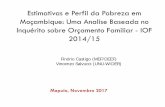 Estimativas e Perfil da Pobreza em Moçambique: Uma Analise …igmozambique.wider.unu.edu/sites/default/files/Event/1... · 2017-11-30 · Estimativas e Perfil da Pobreza em Moçambique: