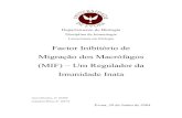 Factor Inibitório de Migração dos Macrófagos (MIF ...evunix.uevora.pt/~sinogas/TRABALHOS/2003/MIF.pdf · mutação de G em C na posição -175 na extremidade 5’, ... 2003) e