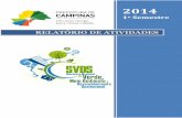 RELATÓRIO DE ATIVIDADES - Prefeitura Municipal de Campinascampinas.sp.gov.br/arquivos/meio-ambiente/relatorio-final-svds... · ... de forma clara e com o objetivo de ... administrativa