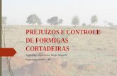 PREJUÍZOS E CONTROLE DE FORMIGAS CORTADEIRAS · CONTROLE Localização do Formigueiro Identificação da espécie de formigas cortadeiras Hábitos de corte de folhas Formatos dos
