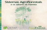 da nova Constituição no Equador. - CETAP · Trecho do texto de Eduardo Galeano, ... buscando avançar e qualificar os manejos agroecológicos dos sistemas de produção, ... até