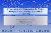 Title of Presentation sub-title (Doc ref number) · mananciais e na determinaçao do seu actual ... crescimento e reprodução) ... ICCAT/AOTTP em Madrid por Telegram 11-Jul-17 ICCAT