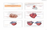 Sistema Cardiovascular Parte II Esquerda Direita · PDF filepresença de válvulas Estrutura das veias: Válvulas Venosas Seio da Válvula Seio da Válvula VEIAS Válvula fechada Válvula