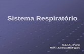 Sistema Respiratório Humano - csfx.org.br · Conjunto de alvéolos visto em corte Alvéolos 5 Brônqui direito Pulmão direito Pulmão esquerdo llustração do sistema respiratório