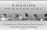 MINISTÉRIO DA EDUCAÇÃO IV Seminário Nacional de ... · educacional especializado, que deve assegurar o prosseguimento da escolarização nas escolas comuns, sem assumir a condição