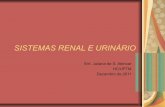 SISTEMA RENAL E URINÁRIO - ebserh.gov.br · É de extrema importância para a vida a função adequada dos sistemas renal e urinário. A principal função é manter o estado de