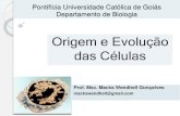 Origem e Evolução das Células - professor.pucgoias.edu.brprofessor.pucgoias.edu.br/SiteDocente/admin/arquivosUpload/18497... · Admite-se que o processo evolutivo que deu origem