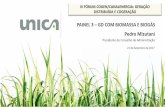 PAINEL 3 GD COM BIOMASSA E BIOGÁS · Projetos de geração cadastrados nos leilões regulados de 2017 (MW, por fonte) No. de projetos à biomassa cadastrados nos leilões e 2017