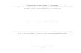 UNIVERSIDADE FEDERAL FLUMINENSE INSTITUTO DE … · Campos dos Goytacazes ... Tabela 6 – Resultado dos testes de Raiz Unitária das variáveis não estacionárias com AR1.. 49 ...