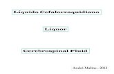 Líquido Céfalo-raquidiano Líquor Cerebrospinal Fluid (CSfiles.lacuftm.webnode.com.br/200000026-2c8942d837/Liquor_AndreM... · Neurotuberculose Neuromicoses ADA Meningoencefalites