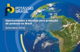 Oportunidades e desafios para produção de potássio no Brasil · • A Potássio do Brasil detém direitos minerários dentro da Bacia de Potássio do Amazonas ... A Potássio do