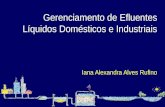 Slide 1 · PPT file · Web viewGerenciamento de Efluentes Líquidos Domésticos e Industriais Iana Alexandra Alves Rufino Gerenciamento de Efluentes Líquidos Domésticos e Industriais