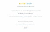 Relatório de Estágio - Repositório Científico do Instituto …recipp.ipp.pt/bitstream/10400.22/743/1/DM_FlorindaSilva... · 2013-10-03 · Instituto Politécnico do Porto Escola