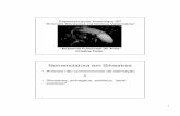 “Anatomia Funcional de Aves” Cristina Fotin - Anclivepa-SP · “Anatomia Funcional de Aves” ... Família Cacatuidae: cacatuas e calopsitas Família Loriidae: lories Sick, 1997