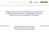 Programa piloto de acreditação de produtores de materiais de referência: compilação de …inmetro.gov.br/credenciamento/docs/Renata_Borges_01.pdf · Produtor de Materiais de