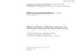 DOC 88 - Marcadores molecularesainfo.cnptia.embrapa.br/digital/bitstream/CNPC-2010/22749/1/doc88.pdf · deste documento é fazer uma breve revisão sobre a função do plasma seminal