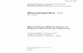 DOC 88 - Marcadores moleculares · deste documento é fazer uma breve revisão sobre a função do plasma seminal e sua ... A eletroforese é o método de ... também chamada de ...