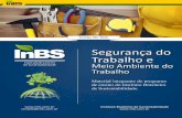 Instituto Brasileiro de Sustentabilidade Segurança do ... Cursos/SETRA/Capitulo 3.pdf · Consideram-se riscos ambientais, segundo a NR 9, ... calor, frio, vibração e radiações