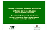 Divisão Técnica de Medicina Veterinária e Manejo da Fauna …robertotripoli.com.br/site/images/noticias/apresentacao... · 2009-05-11 · média mensal. Fonte: Sisfauna / SVMA/PMSP.