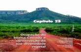 P arte IV - Capítulo XXIII - mma.gov.br 23.pdf · heterogeneidade local e regional da flora das matas ribeirinhas e do Cerrado sentido amplo, mostra, também, as tendências do ritmo