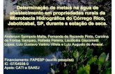 Determinação de metais na água de abastecimento em ... · Determinação de metais na água de abastecimento em propriedades rurais da Microbacia Hidrográfica do Córrego Rico,