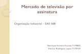 Mercado de televisão por assinatura - edisciplinas.usp.br · 1998: Plano Geral de Outorgas (PGO) Concessionárias e Autorizadas Fonte ... GVT/Telefônica não atua em 09 estados.