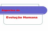 Evolução Humana - Colegio Unitauescola.unitau.br/files/arquivos/category_1/Profa_Luciana_Evolucao... · Os neandertais tinham cérebro volumoso (1500 cm³), rosto grande e cabeça