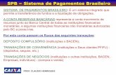 SPB Sistema de Pagamentos Brasileiro - …concursocec.com.br/_temp/79e9ddafd813e96bcdd126f7017cf4...PROF. CLAUDIO HENRIQUES SISTEMA DE PAGAMENTOS BRASILEIRO: É um sistema integrado