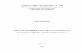 Análise da Pré-Viabilidade Econômico-Financeiro da ... · Moraes, Saulo Ferraz Análise da pré-viabilidade econômico-financeiro da implantação de uma fábrica de uva-passa