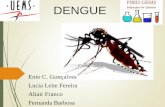 DENGUE - pibidquimicauems.files.wordpress.com · Sumário Onde se originou; Dengue, Chikungunya e Zika. Como é feito a transmissão. Mosquito Aedes Aegypti e seu ciclo de vida. Infestação