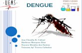 DENGUE - pibidquimicauems.files.wordpress.com · SUMÁRIO Transmissor da Dengue Infestação do Mosquito X Propriedades físico- químicas da Água Resistência do Aedes aegypti aos