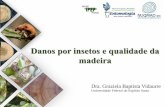 Dra. Graziela Baptista Vidaurre - cbe2018.com.br · Danos por insetos e Qualidade da Madeira Danos em produtividade Temas abordados Diâmetro Altura Volume de madeira Introdução